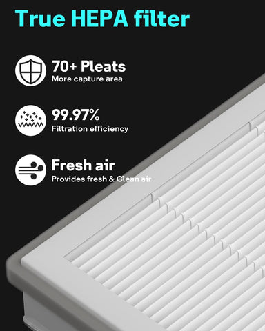 Leemone Vital 100 activated carbon filter reducing common odors