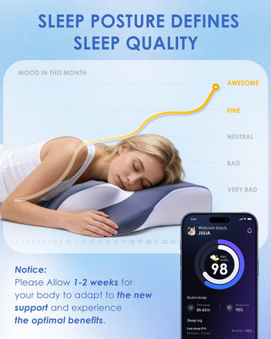 CertiPUR-US and OEKO-TEX certified Leewjed pillow for safety