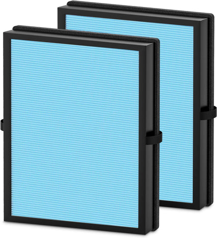 LemonQueen MK04 air filter 2-pack for easy replacement and cleaner air.