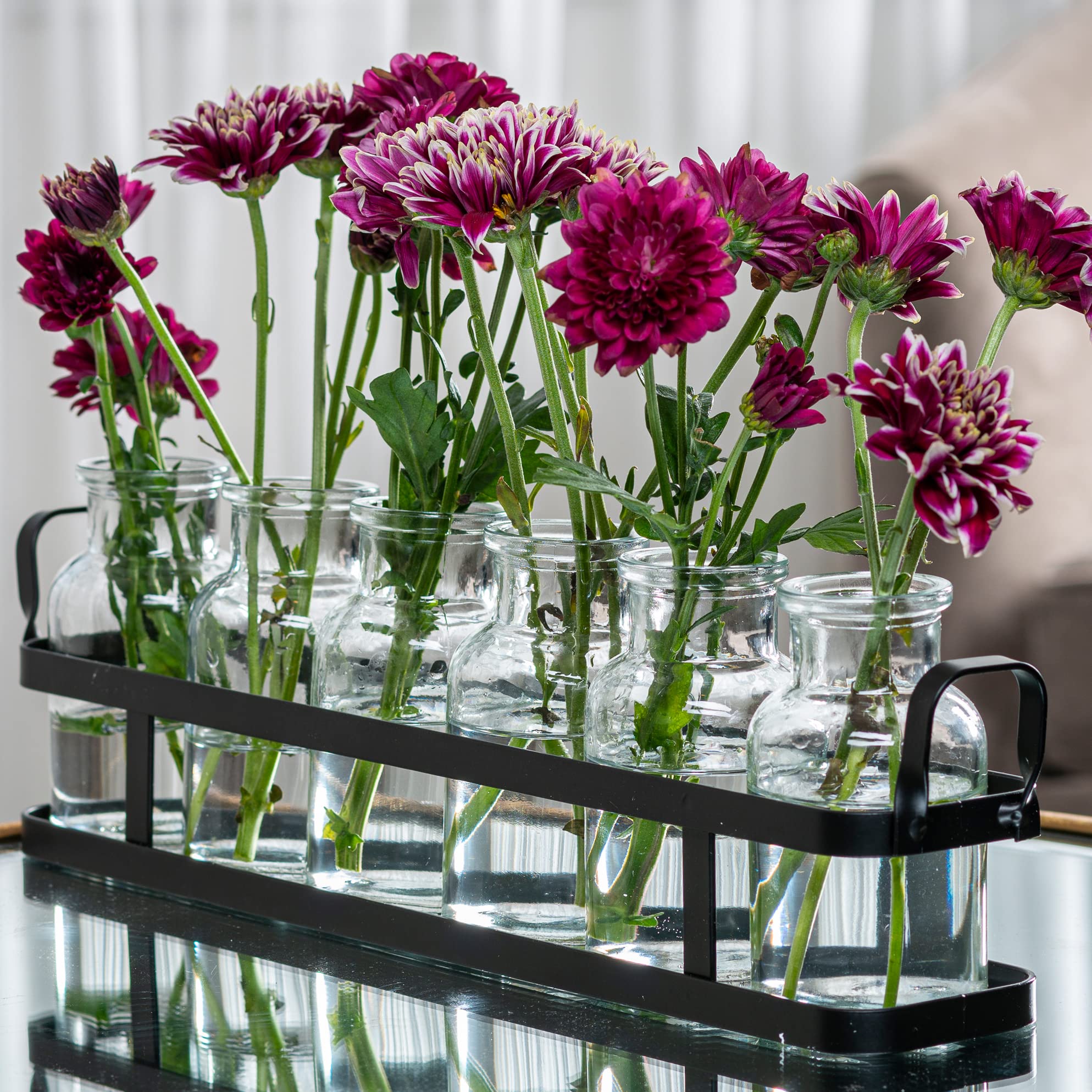 Le'raze 6pc glass vase set with metal holder for a chic centerpiece display.
