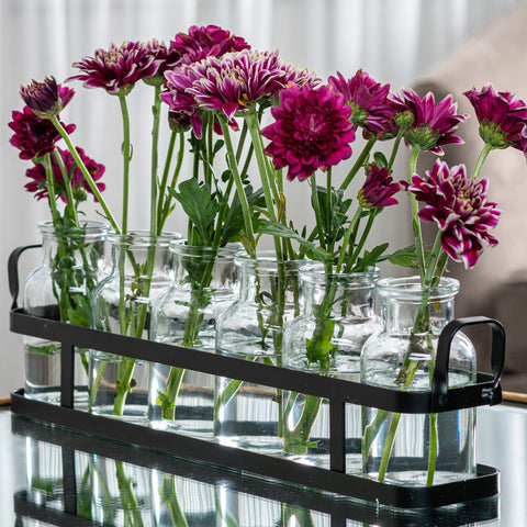 Le'raze 6pc glass vase set with metal holder for a chic centerpiece display.