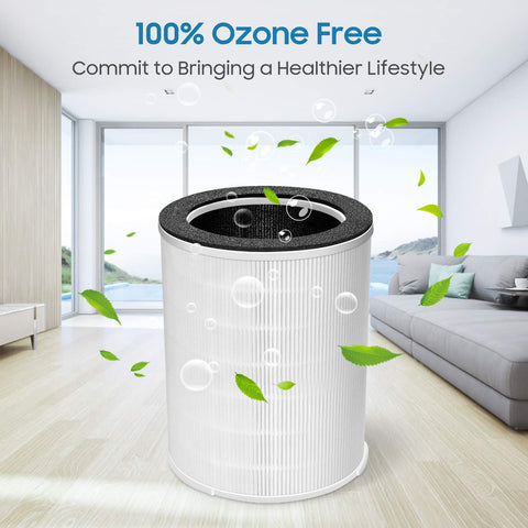 Letsport 3-in-1 pre-filter plus HEPA stage blocks dust and pollen.