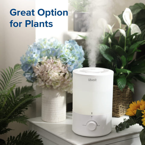 LEVOIT ETL-certified safety for trustworthy home use