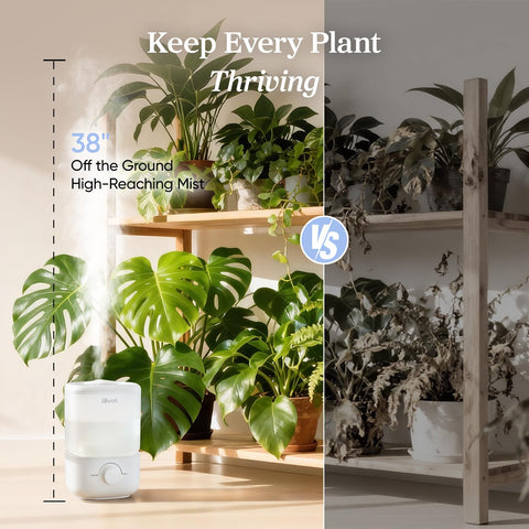 LEVOIT Top Fill Humidifier with a 360-degree nozzle directing mist