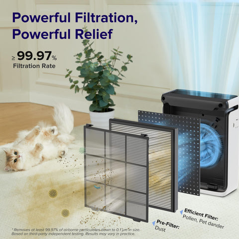 LEVOIT Vital 100S-P digital display highlighting mode and timer