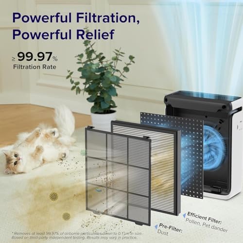 LEVOIT Vital 100S-P filter in Sleep Mode provides quiet, efficient purification.