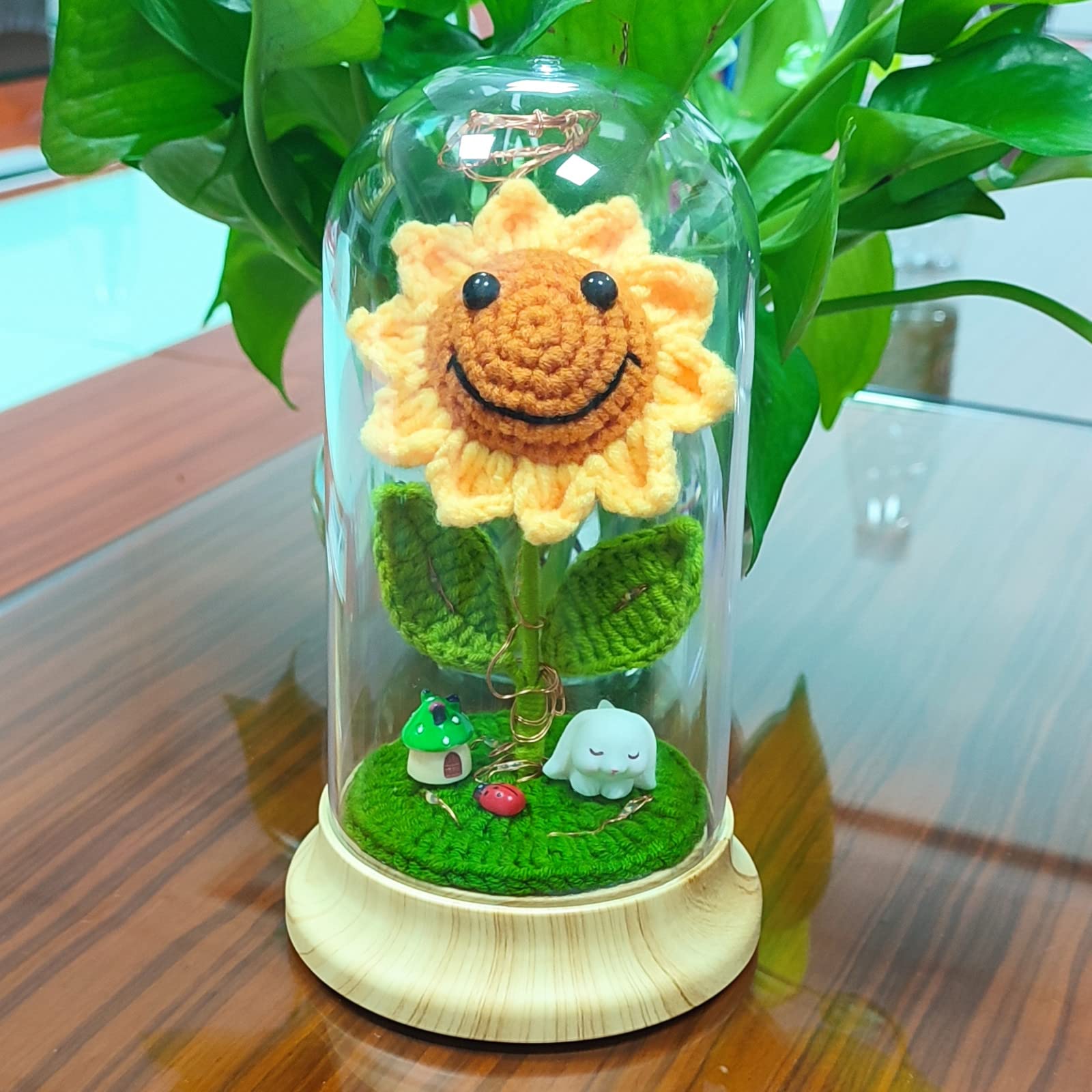 Levvohd clear acrylic dome protects crochet artwork.