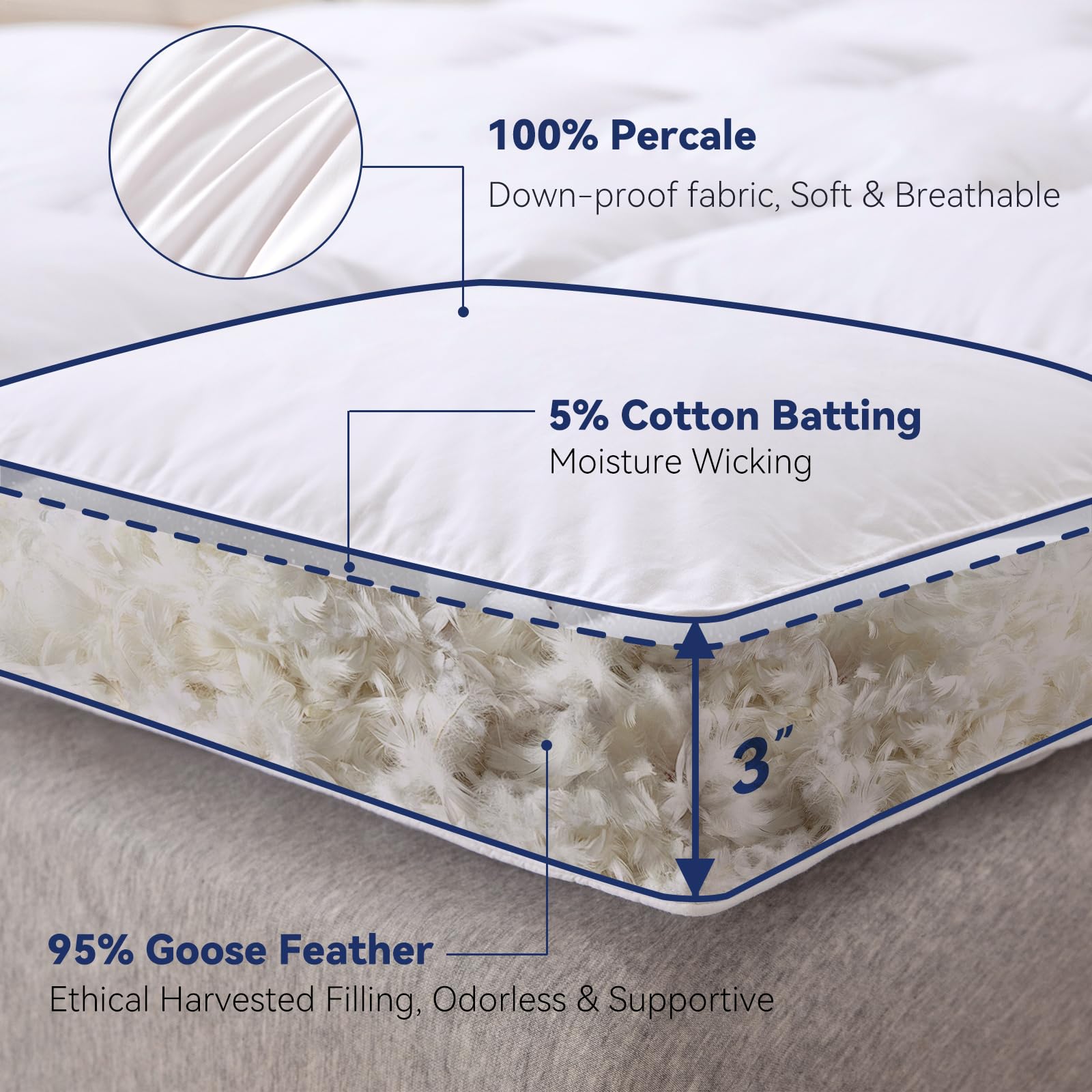 LeWinBedding mattress topper with breathable cotton cover emphasizes skin-friendly, airy comfort.