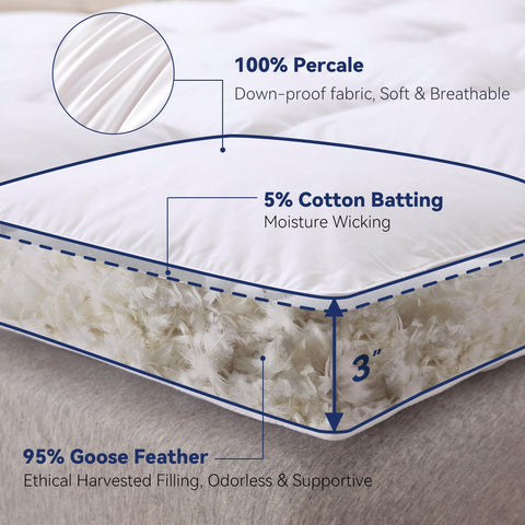 LeWinBedding mattress topper with breathable cotton cover emphasizes skin-friendly, airy comfort.