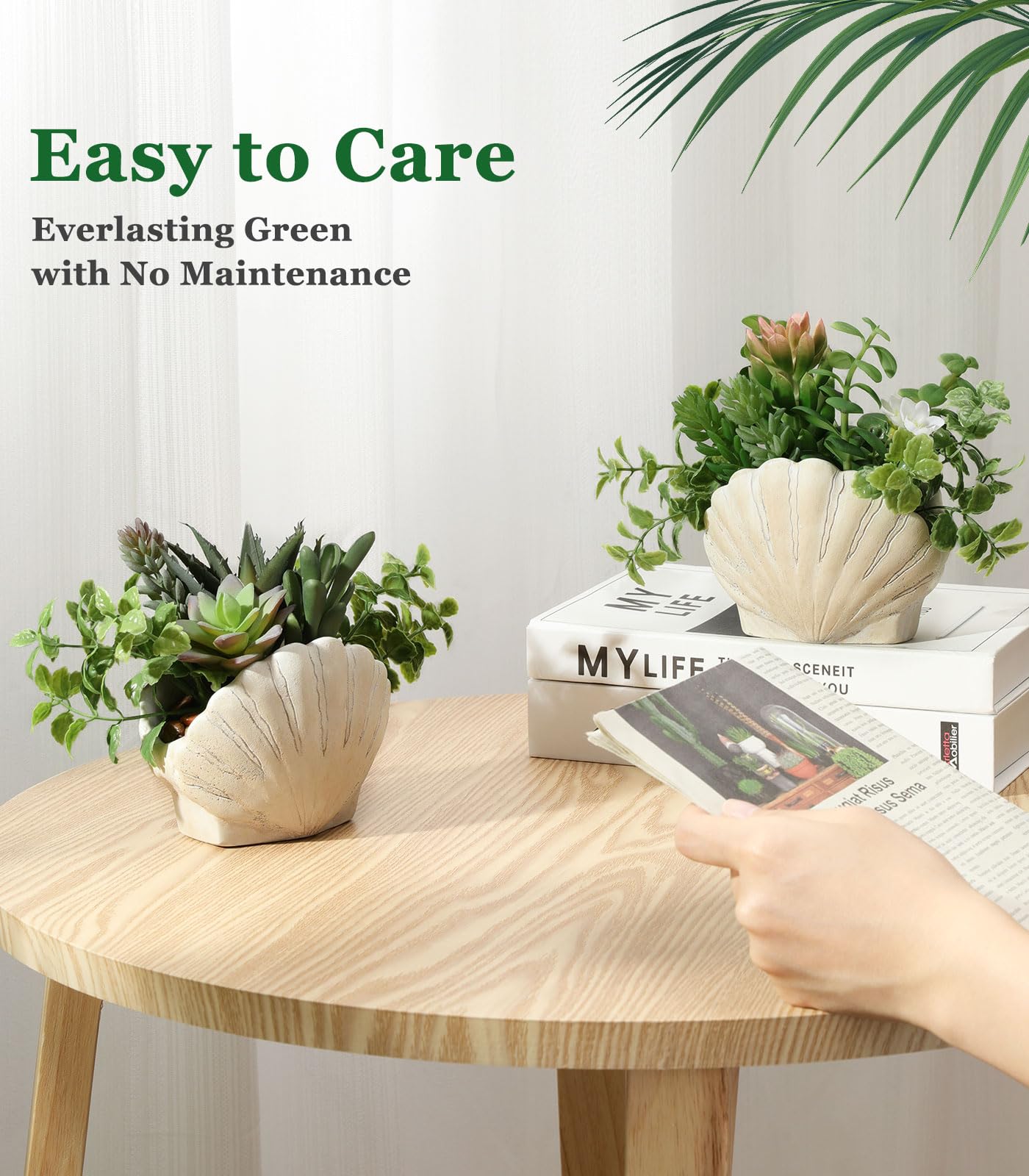 Lewondr minimalist cement shell pot detail for clean, durable decor.