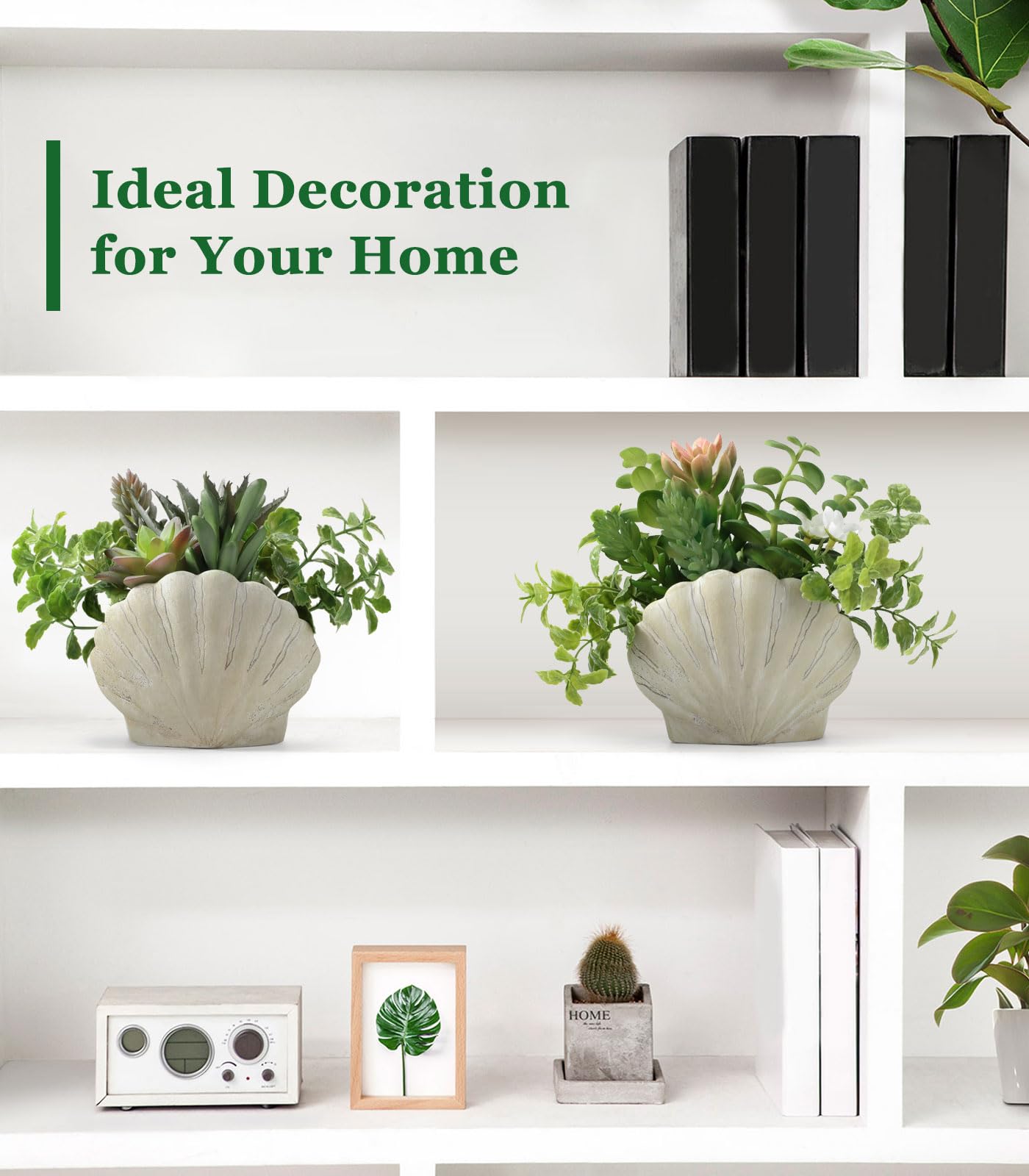 Lewondr office-friendly greenery helps create a calm low-maintenance workspace.