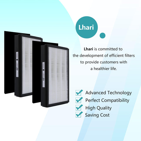 Two-pack LHARI A2 filters provide convenient replacements.