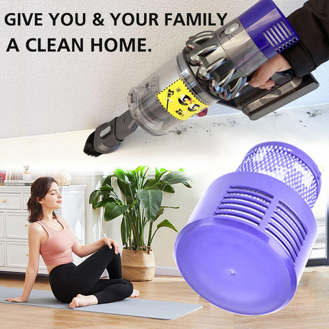 LhhTing V10 Animal filter; ideal for homes with pets