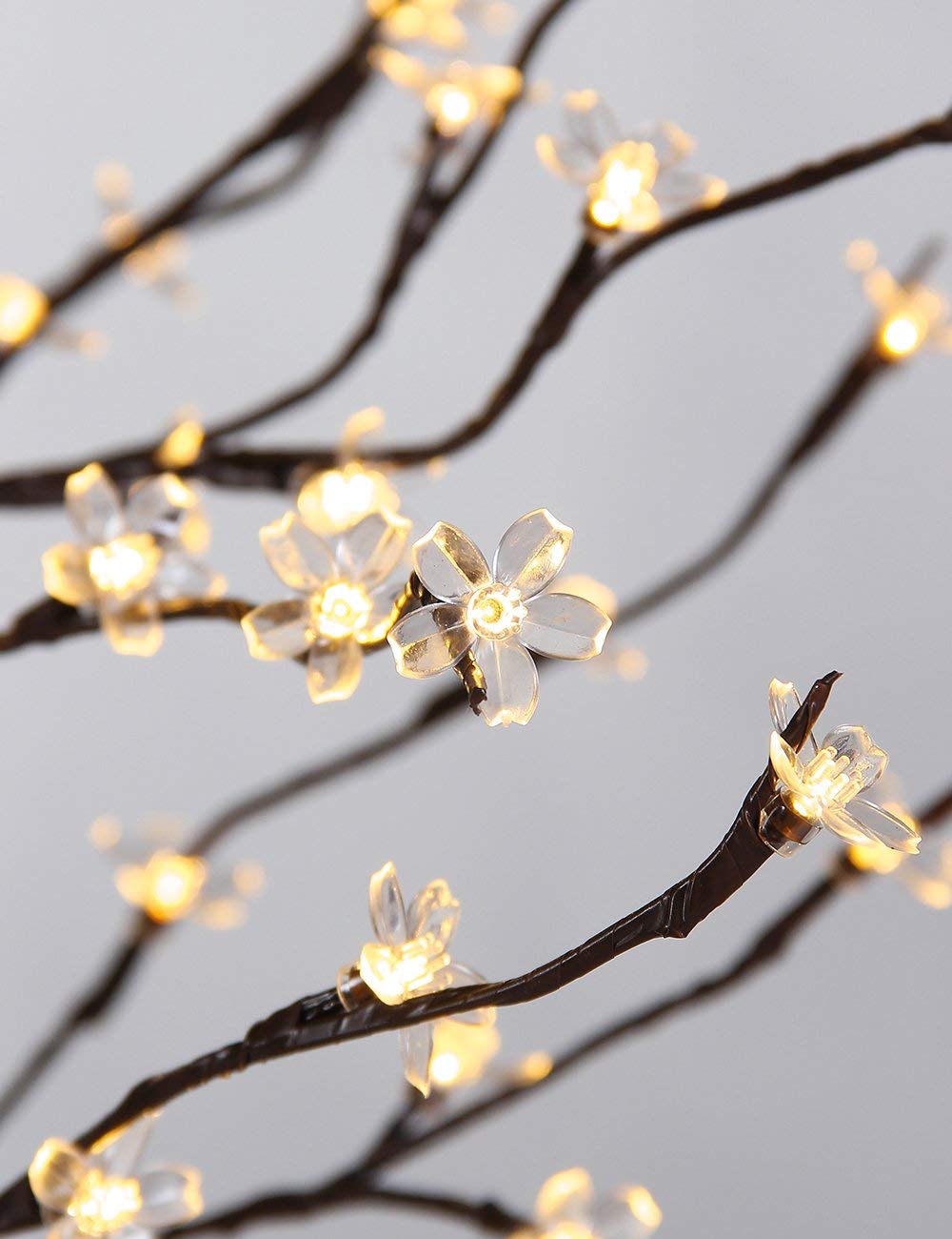 LIGHTSHARE replacement flowers included to maintain lasting beauty.
