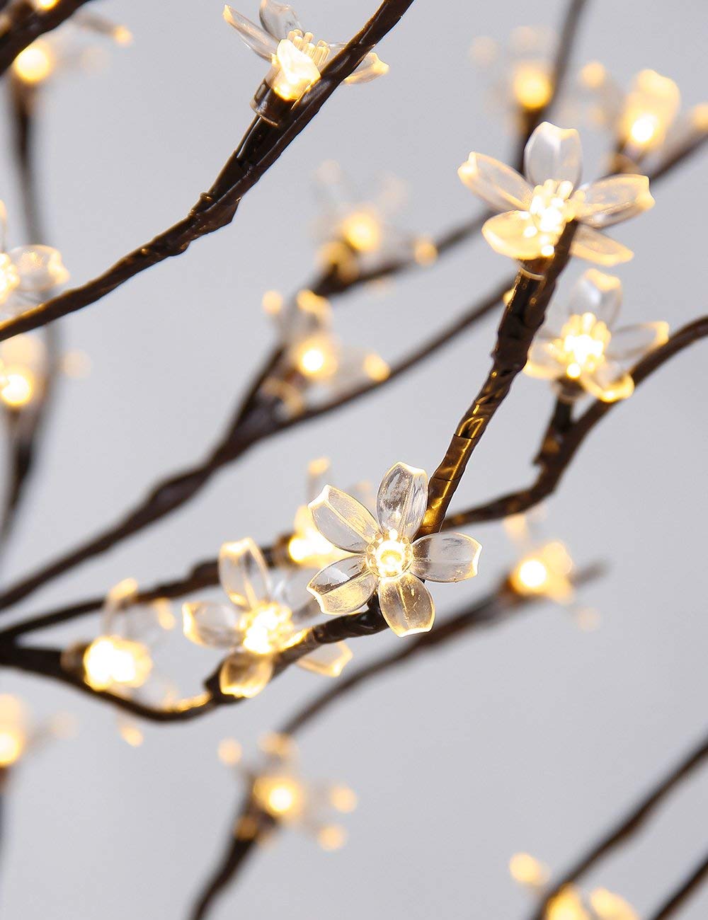 LIGHTSHARE indoor-outdoor versatility suits homes, patios, weddings, and festivals.