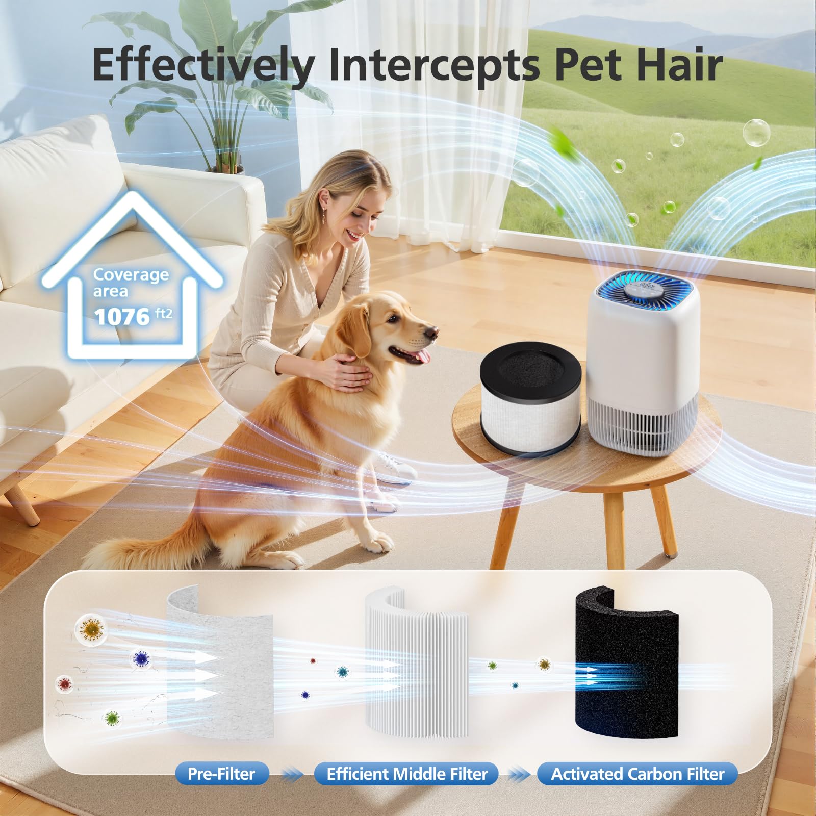 LINNIW DH12 air freshness scene in a bright living room