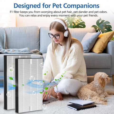 LINNIW F1 filter pictured in a clean living room environment