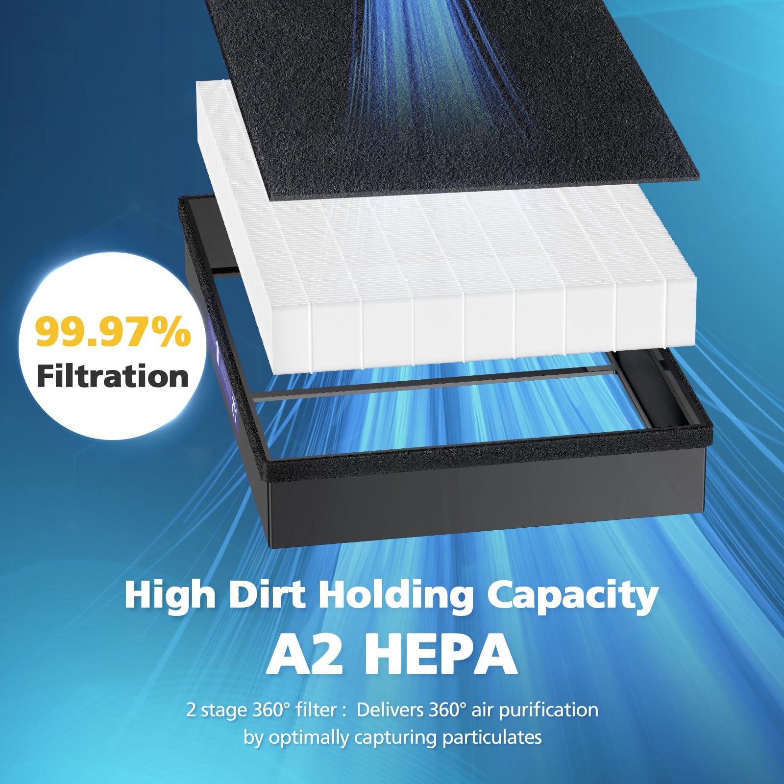 LINNIW FSC-certified paper packaging emphasizes sustainability