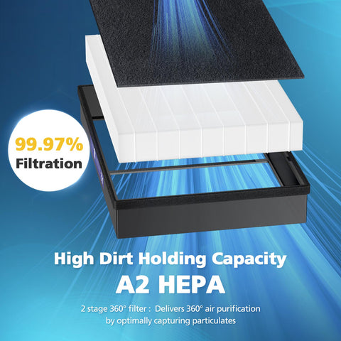 LINNIW FSC-certified paper packaging emphasizes sustainability