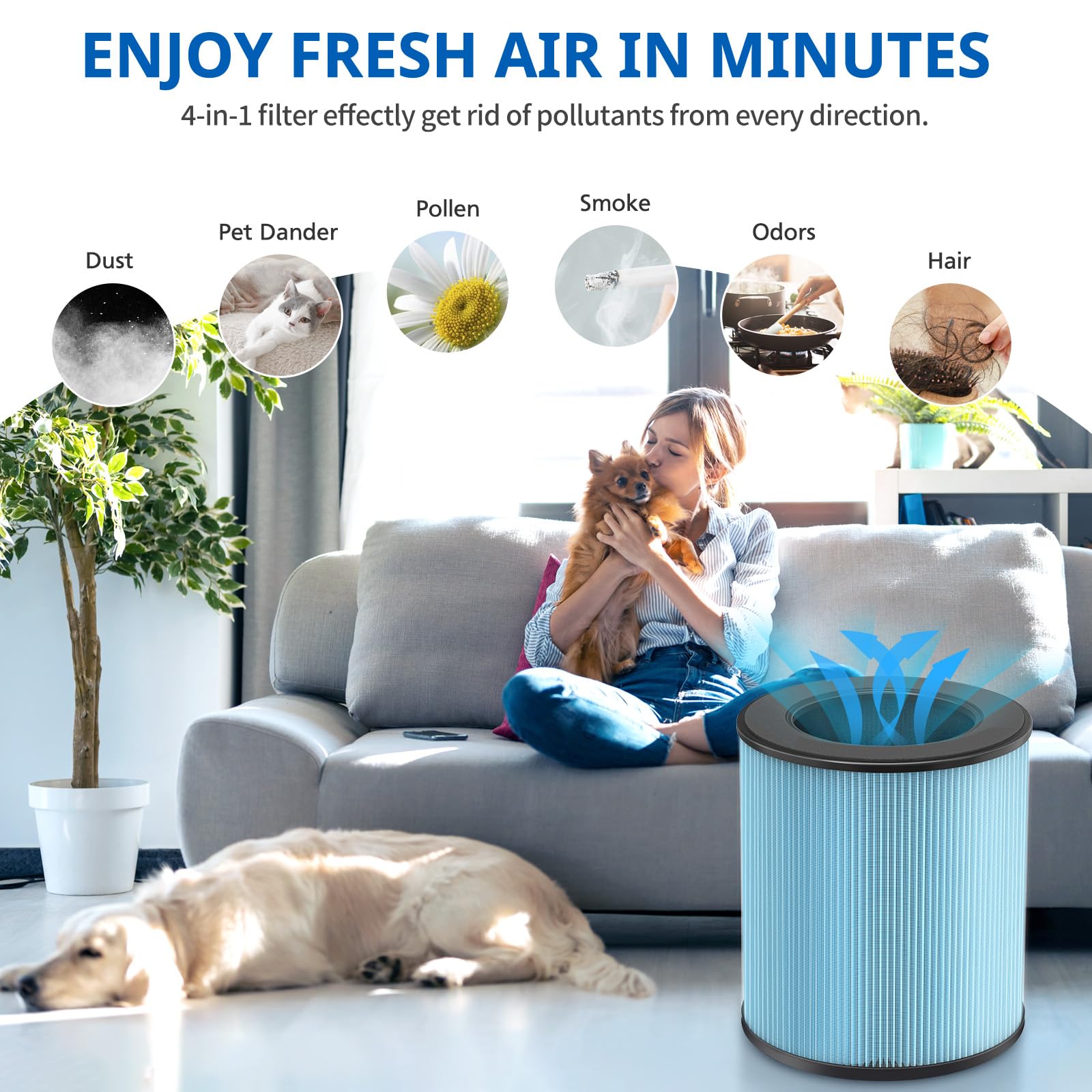 LINNIW MK03 2-pack packaging and quality assurance for MK03 purifiers.