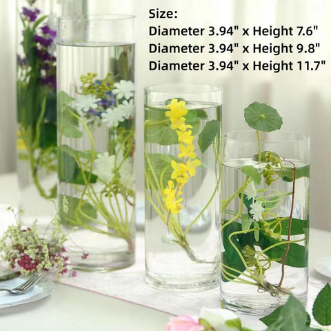 Liotww cylinder vase ideal for hydroponic and water-grown displays.