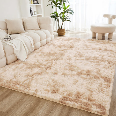 Litanika 8x10 shag rug in living room adds warmth and cozy texture.
