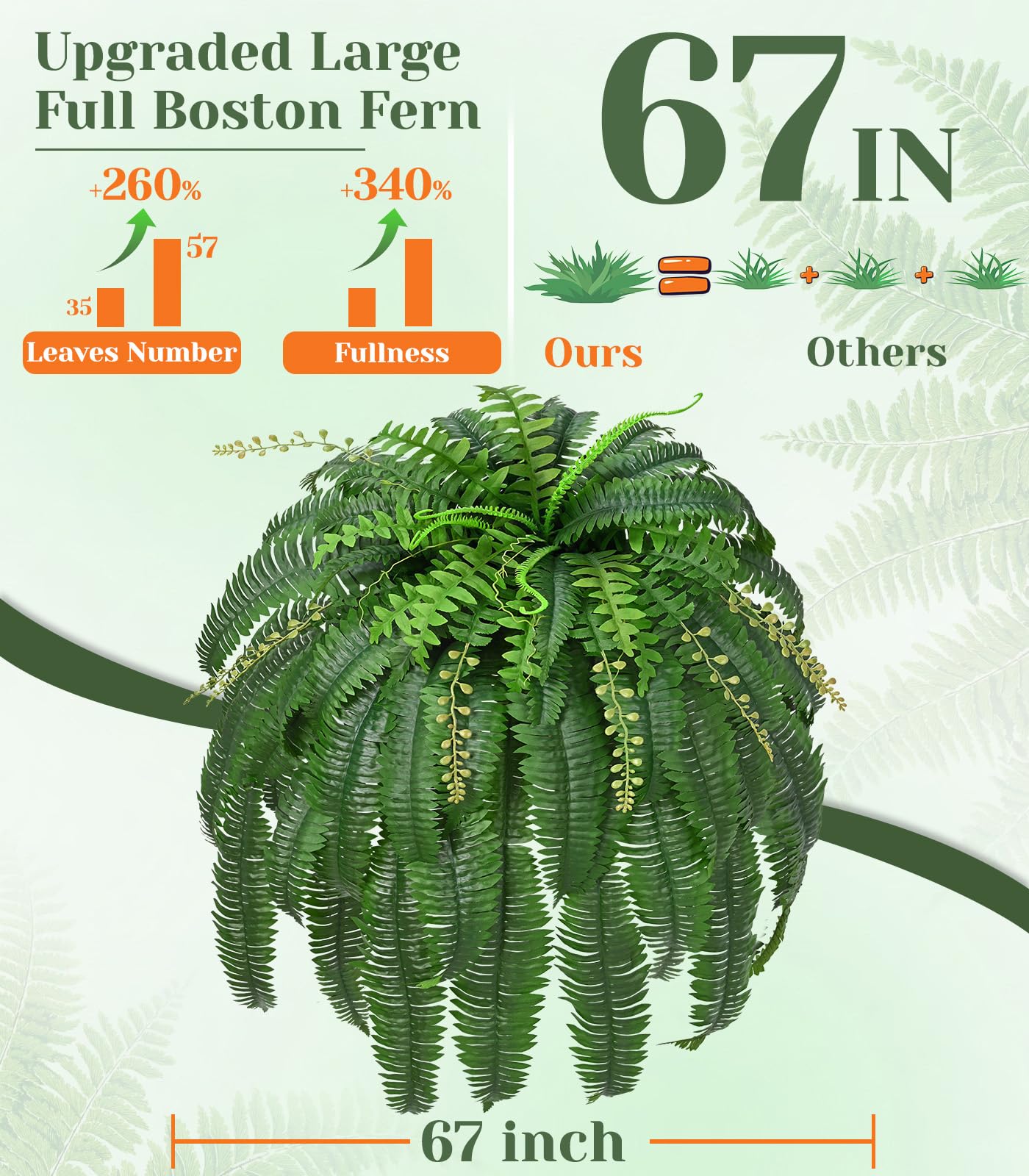 Livole ferns show 1 to 1 realistic detail and texture