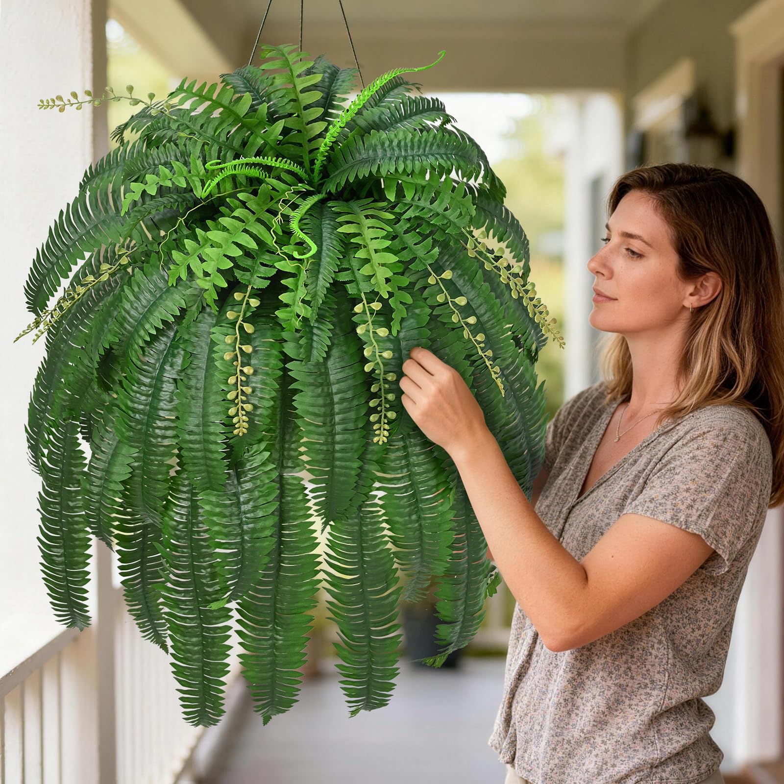 Livole fern in planter sized 18 to 22 inches