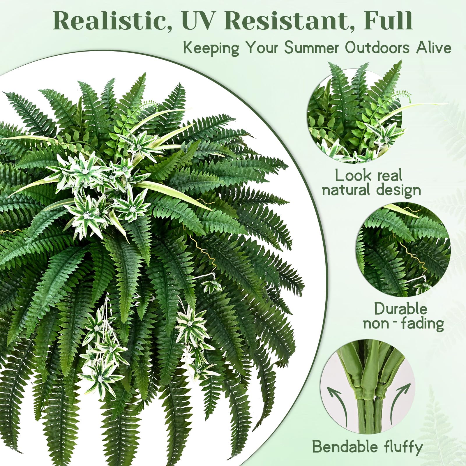 Livole fern display in planter or hanging basket for porch or balcony decor