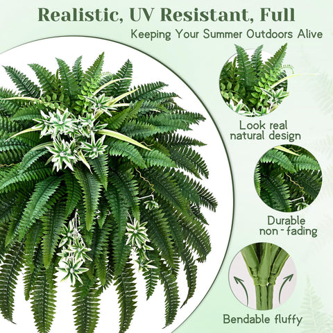 Livole fern display in planter or hanging basket for porch or balcony decor
