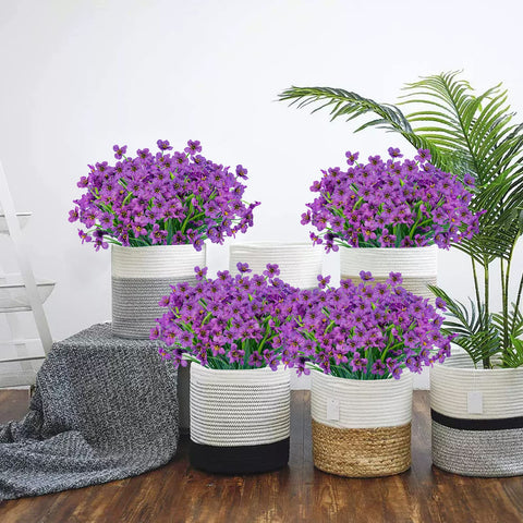 Lnoicy mixed-color set provides yellow purple red white and fuchsia options.