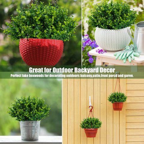 Lnoicy outdoor-indoor boxwood shrubs enhance porches, gardens, and wedding venues.