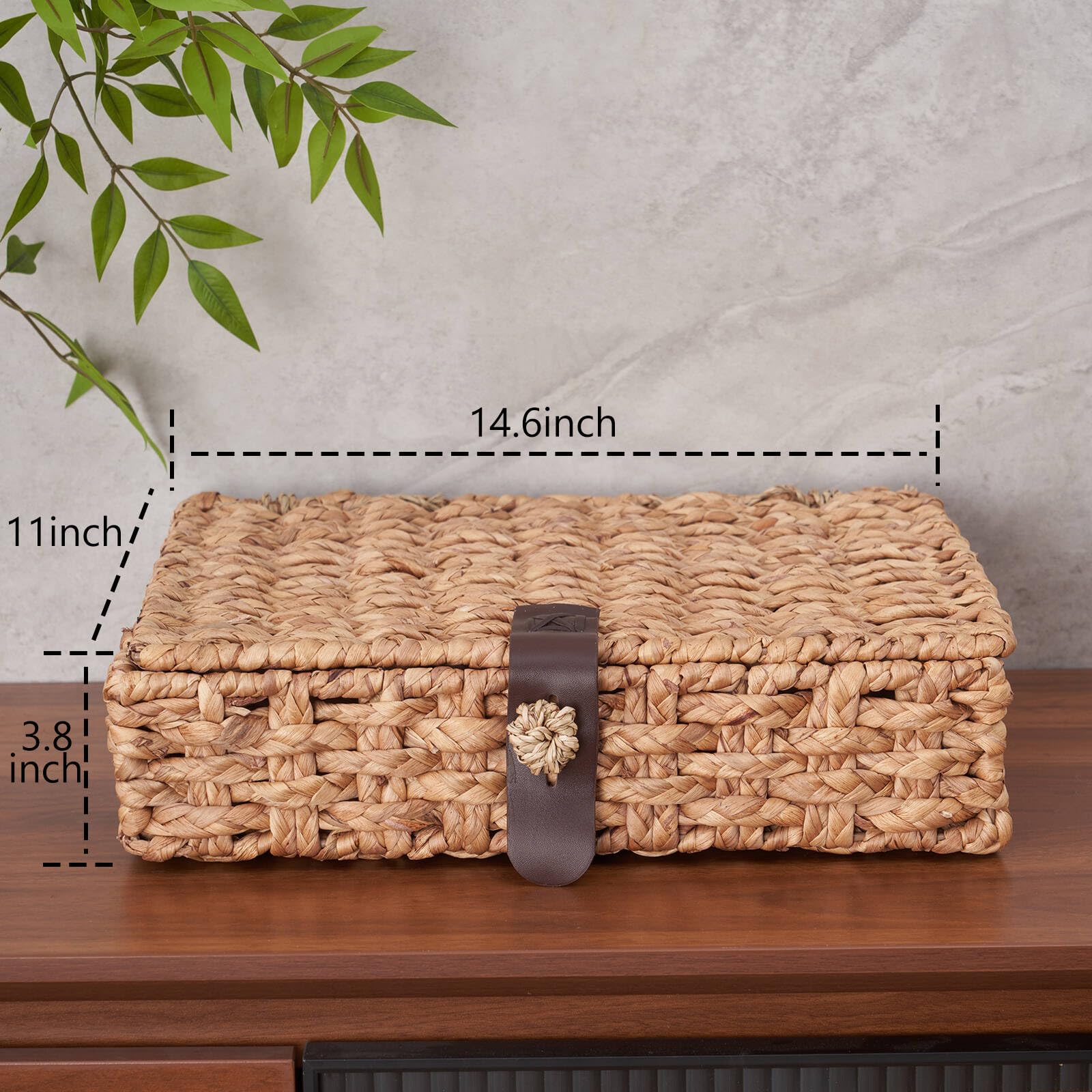 LOHONER stackable decorative boxes enable versatile displays and tidy spaces