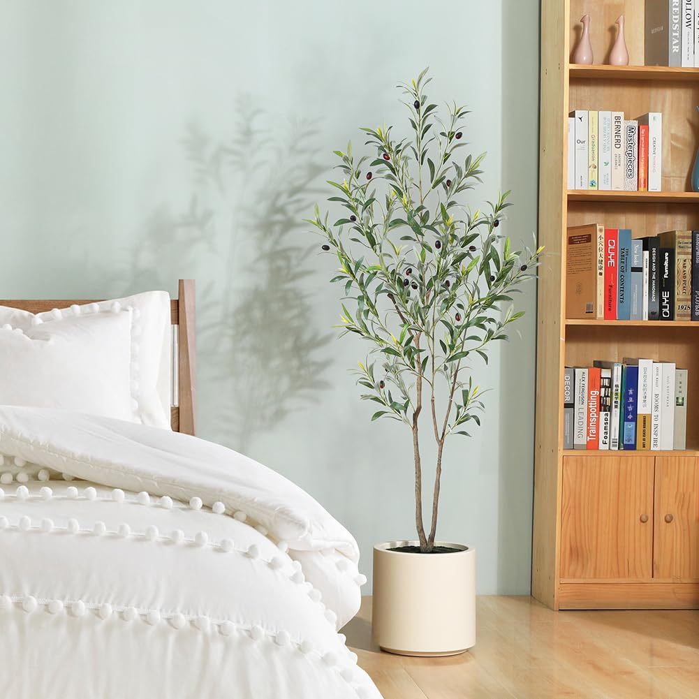 LOMANTO full-height olive tree enhancing indoor space without upkeep