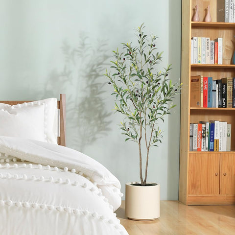 LOMANTO full-height olive tree enhancing indoor space without upkeep