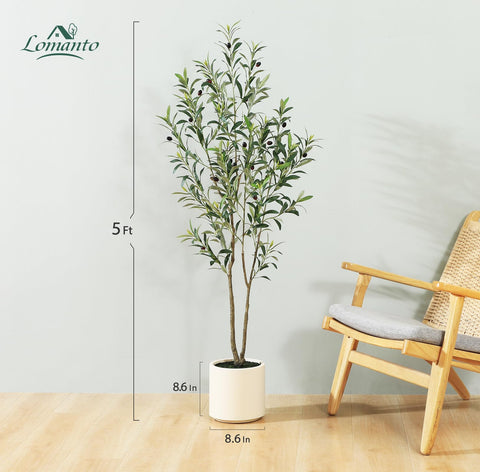 LOMANTO living room scene with five-foot artificial olive tree