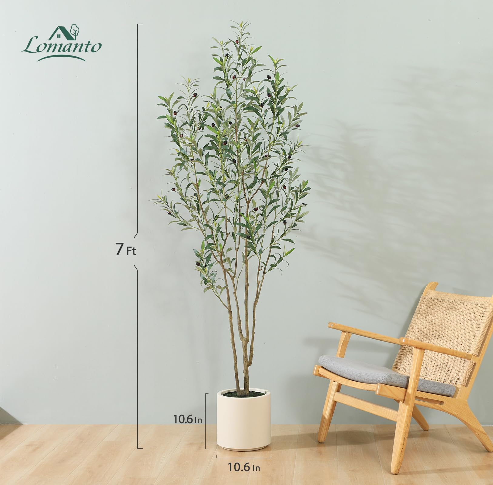 LOMANTO metal-reinforced trunk olive tree offers durable structure.