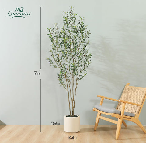 LOMANTO metal-reinforced trunk olive tree offers durable structure.