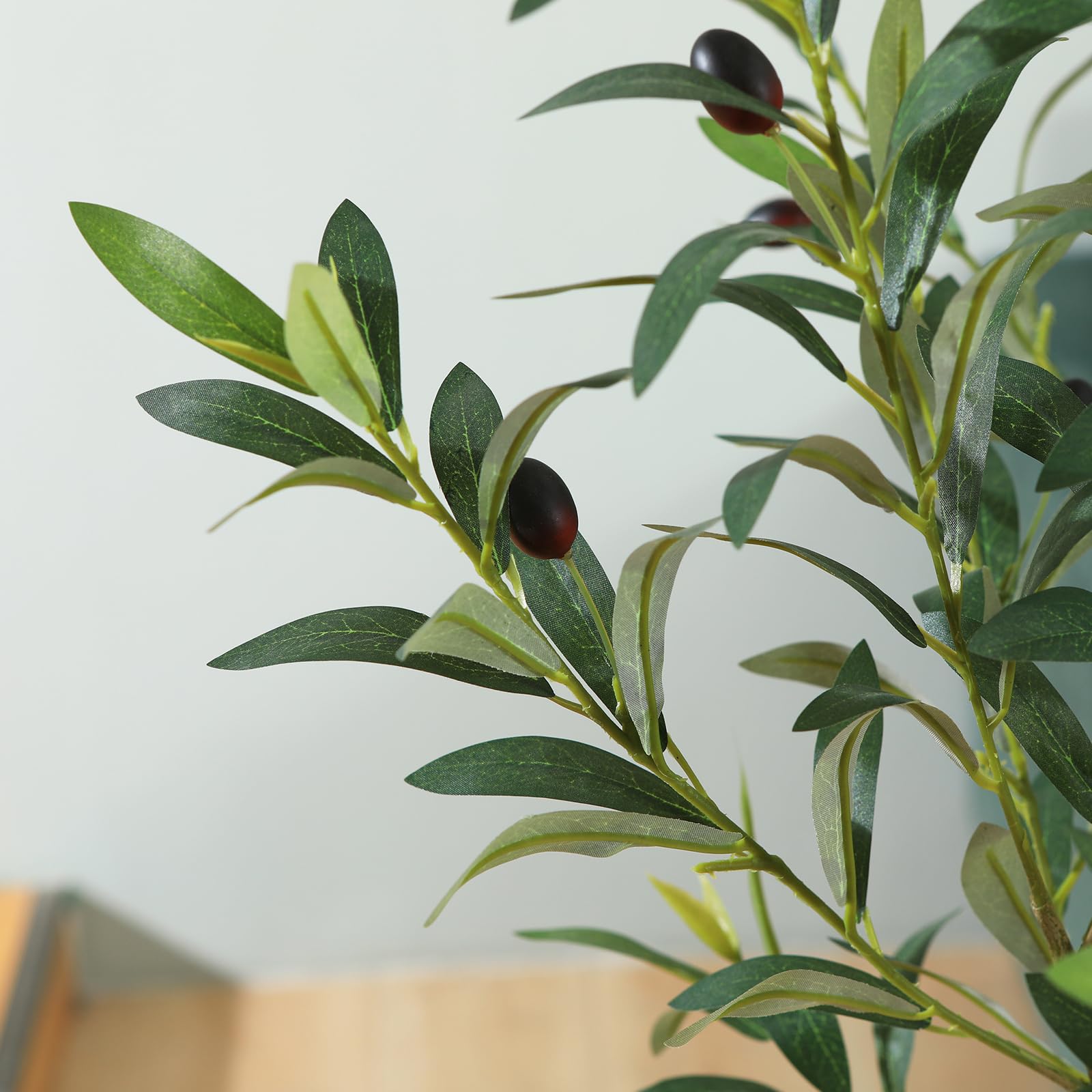 LOMANTO 7ft olive tree ideal for living rooms.