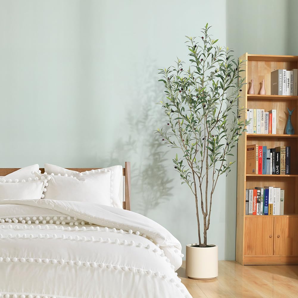 LOMANTO olive tree makes a thoughtful housewarming gift.