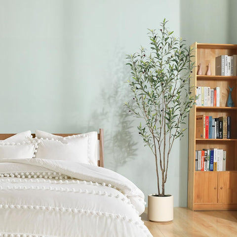 LOMANTO olive tree makes a thoughtful housewarming gift.