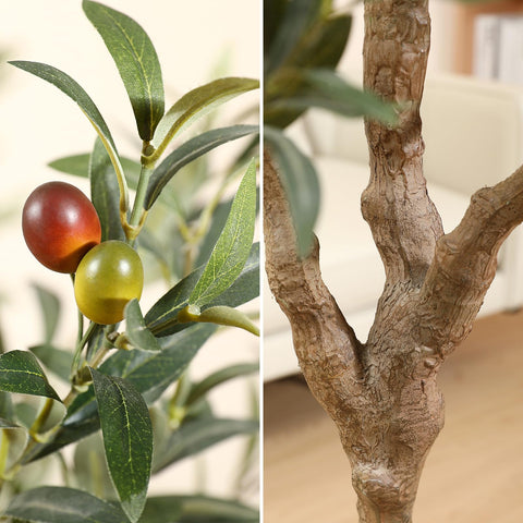LOMANTO olive tree trunk texture and realistic branches close up