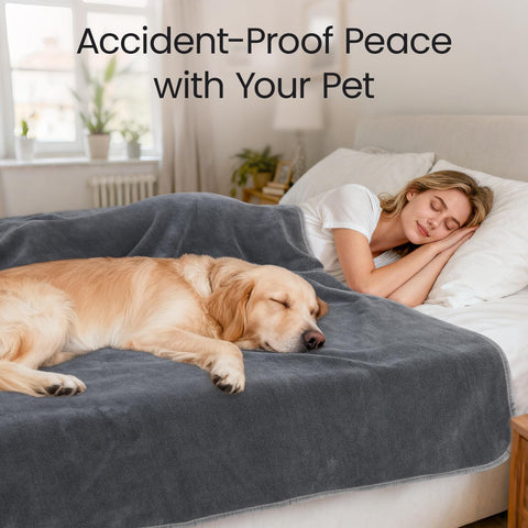 LOOBANI pet-friendly blanket used with a cat or dog at home.