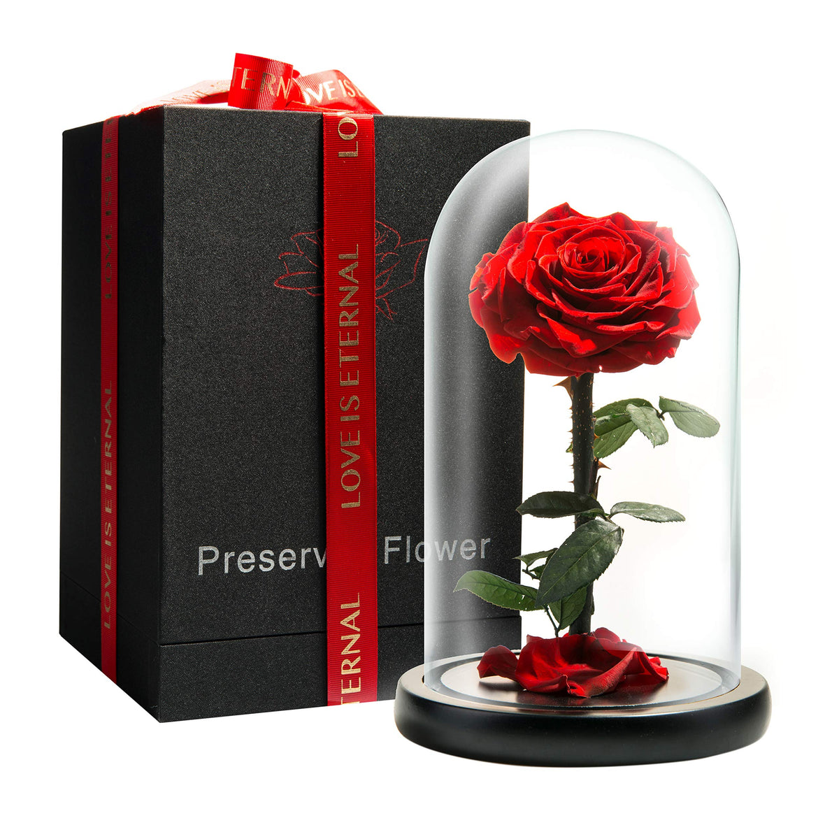 LOVAPPY forever preserved rose inside glass dome, an elegant centerpiece for any room.