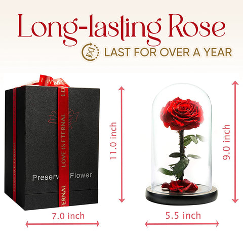 LOVAPPY red eternal rose on velvet display for sophisticated home decor.