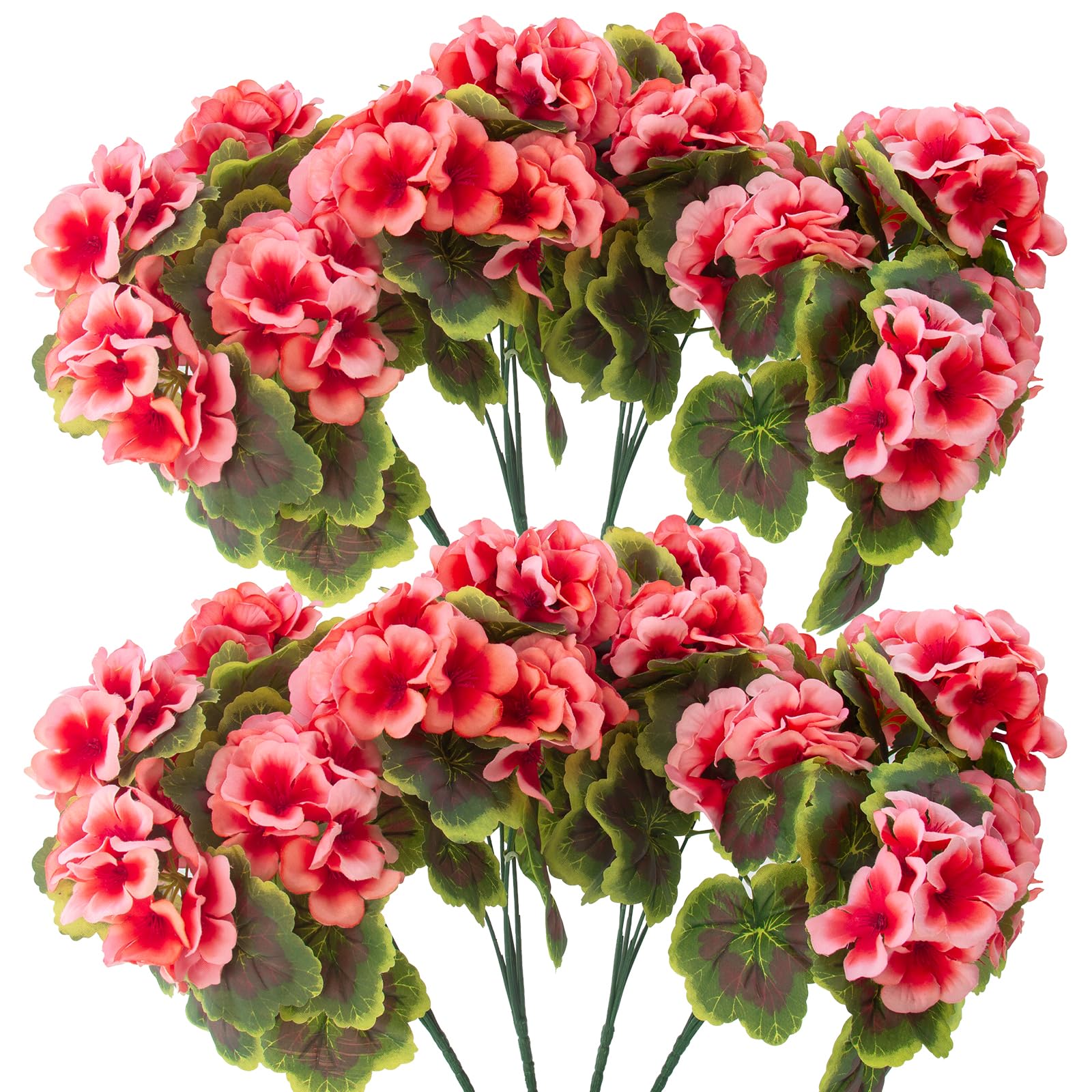 Lovemoon 8‑pcs geranium pack offers versatile layouts