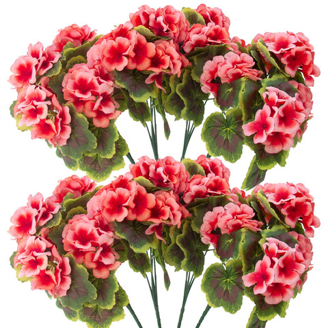 Lovemoon 8‑pcs geranium pack offers versatile layouts