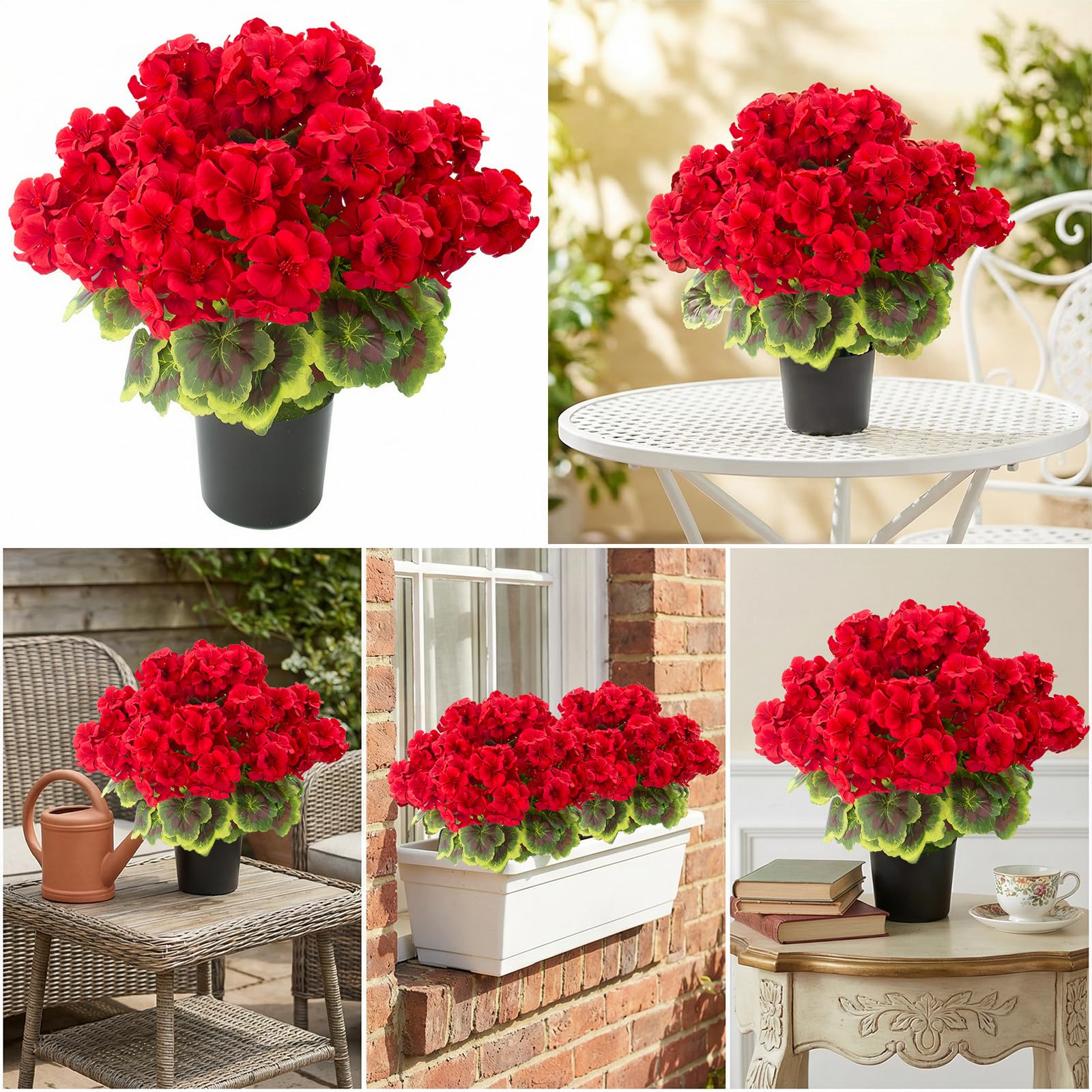 Lovemoon red geraniums require no watering or pruning for easy care.