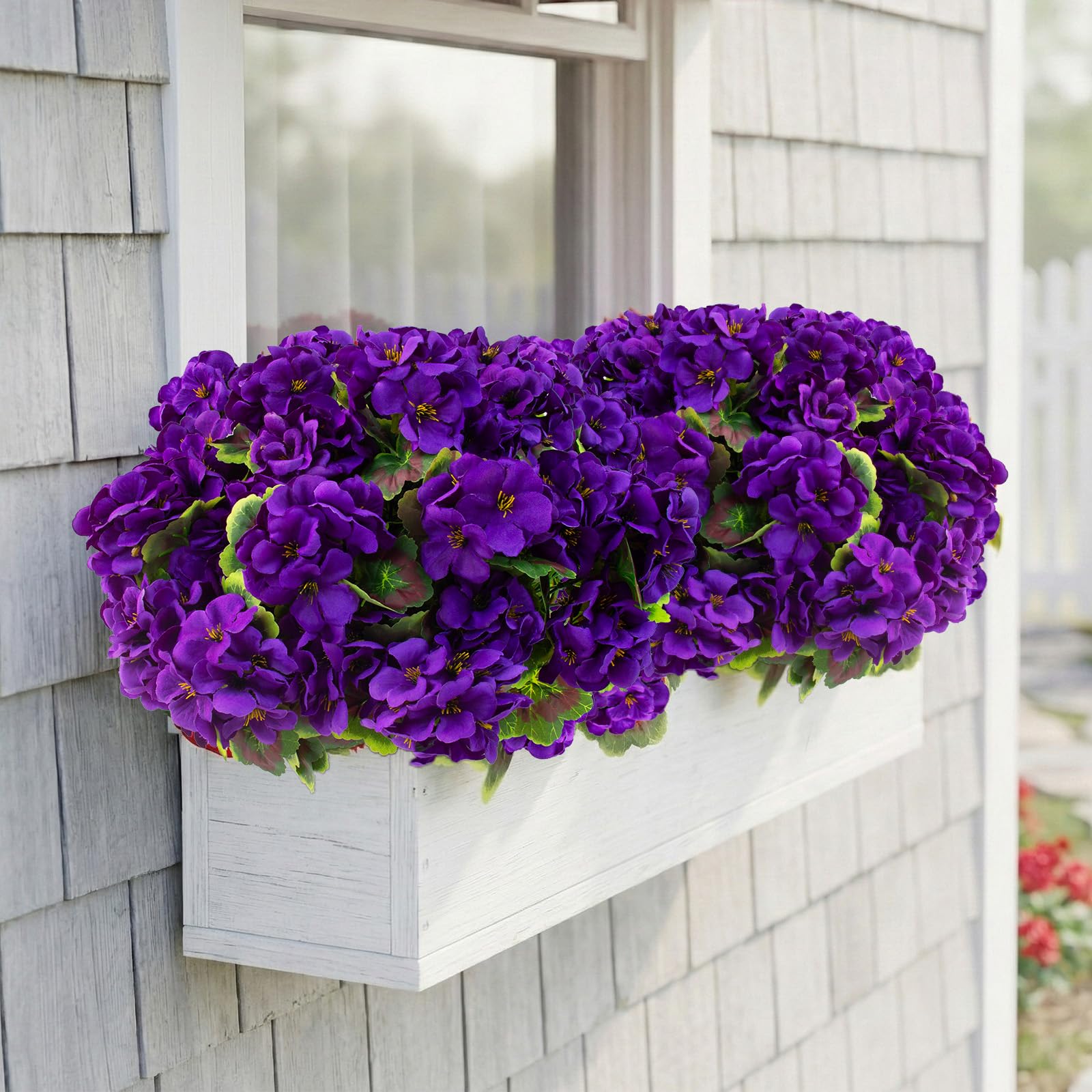 Lovemoon UV-resistant geranium for outdoor or indoor display.