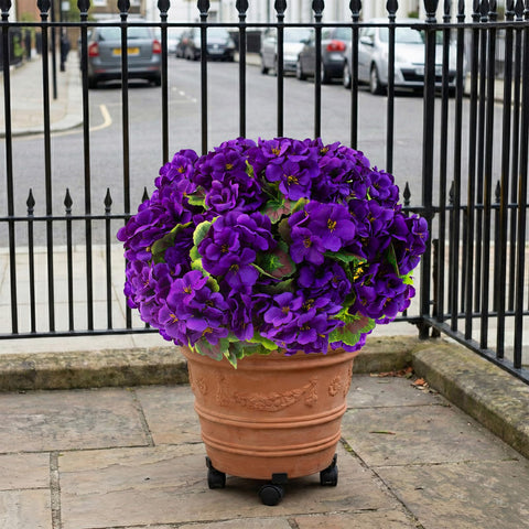 Lovemoon geranium arranged in a vase for immediate decoration.